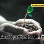 50+ Life Quotes in Hindi