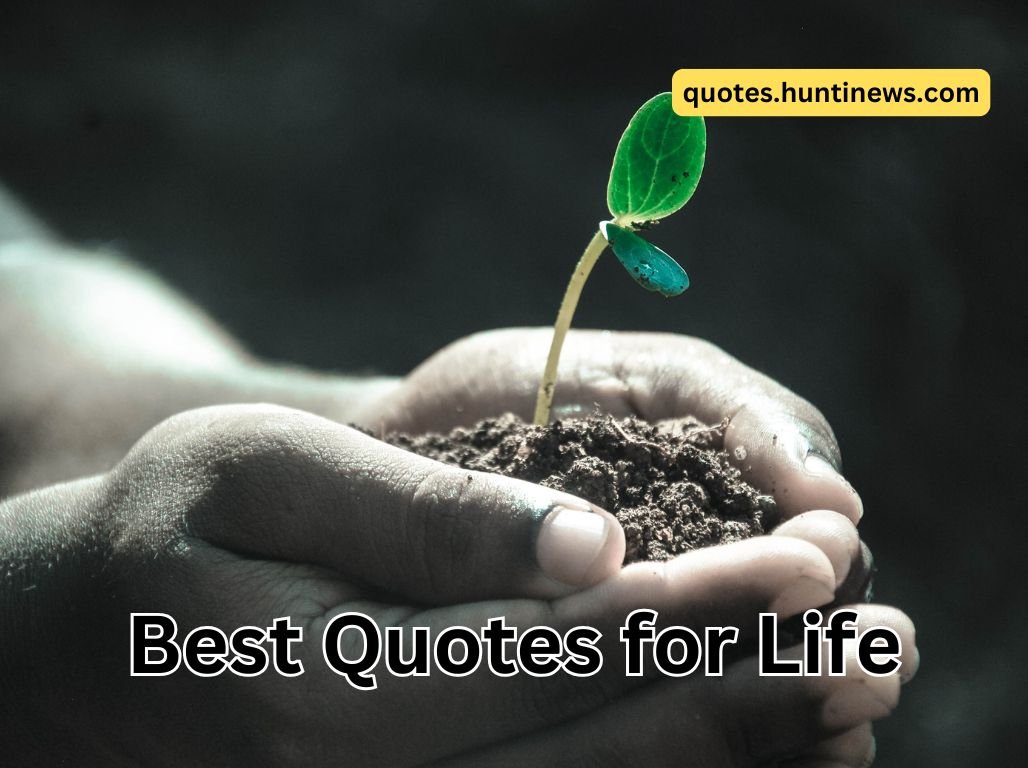 50+ Life Quotes in Hindi