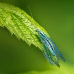 Good Morning Spiritual Blessings Quotes